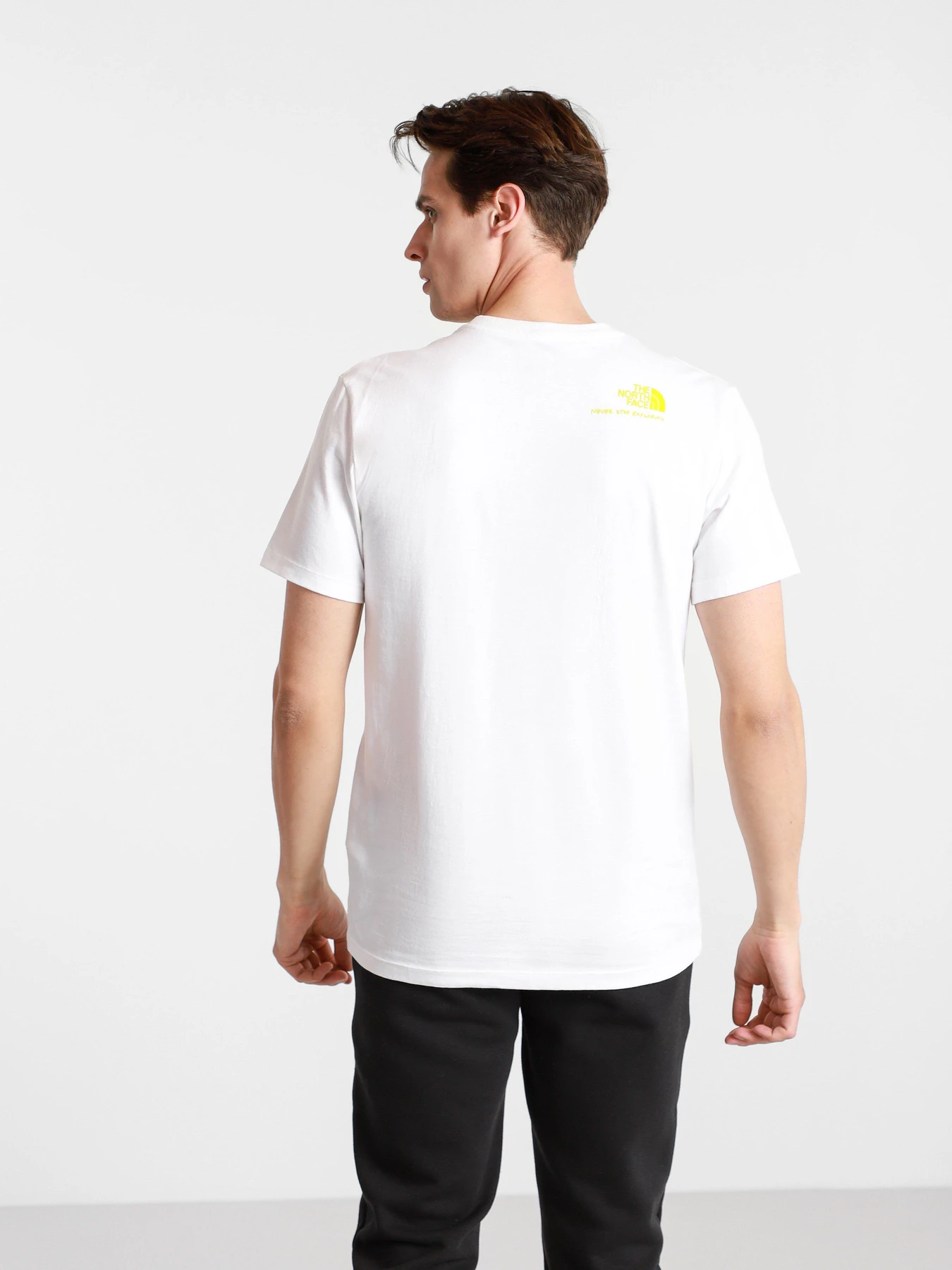 Футболки и поло The North Face BASE FALL GRAPHIC модель NF0A55TWFN41 Футболки и поло The North Face BASE FALL GRAPHIC модель NF0A55TWFN41 Фото
