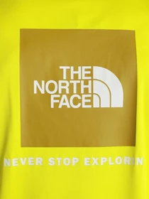 Футболки и поло The North Face Reaxion Red Box Tee модель NF0A4CDWJE31 Фото