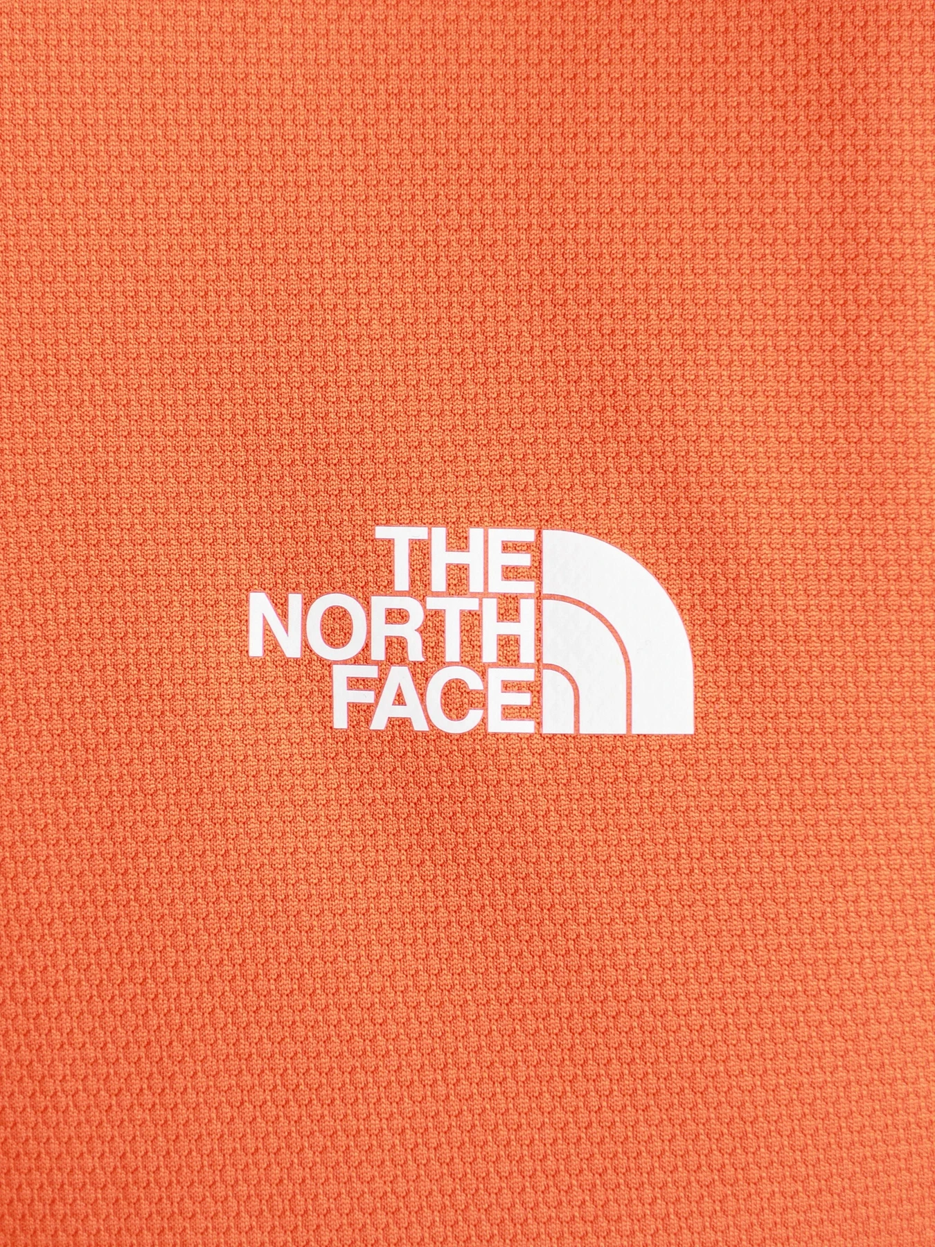 Футболки і поло The North Face Flex II модель NF0A3L2EV3Q1 Фото