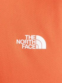 Футболки і поло The North Face Flex II модель NF0A3L2EV3Q1 Фото