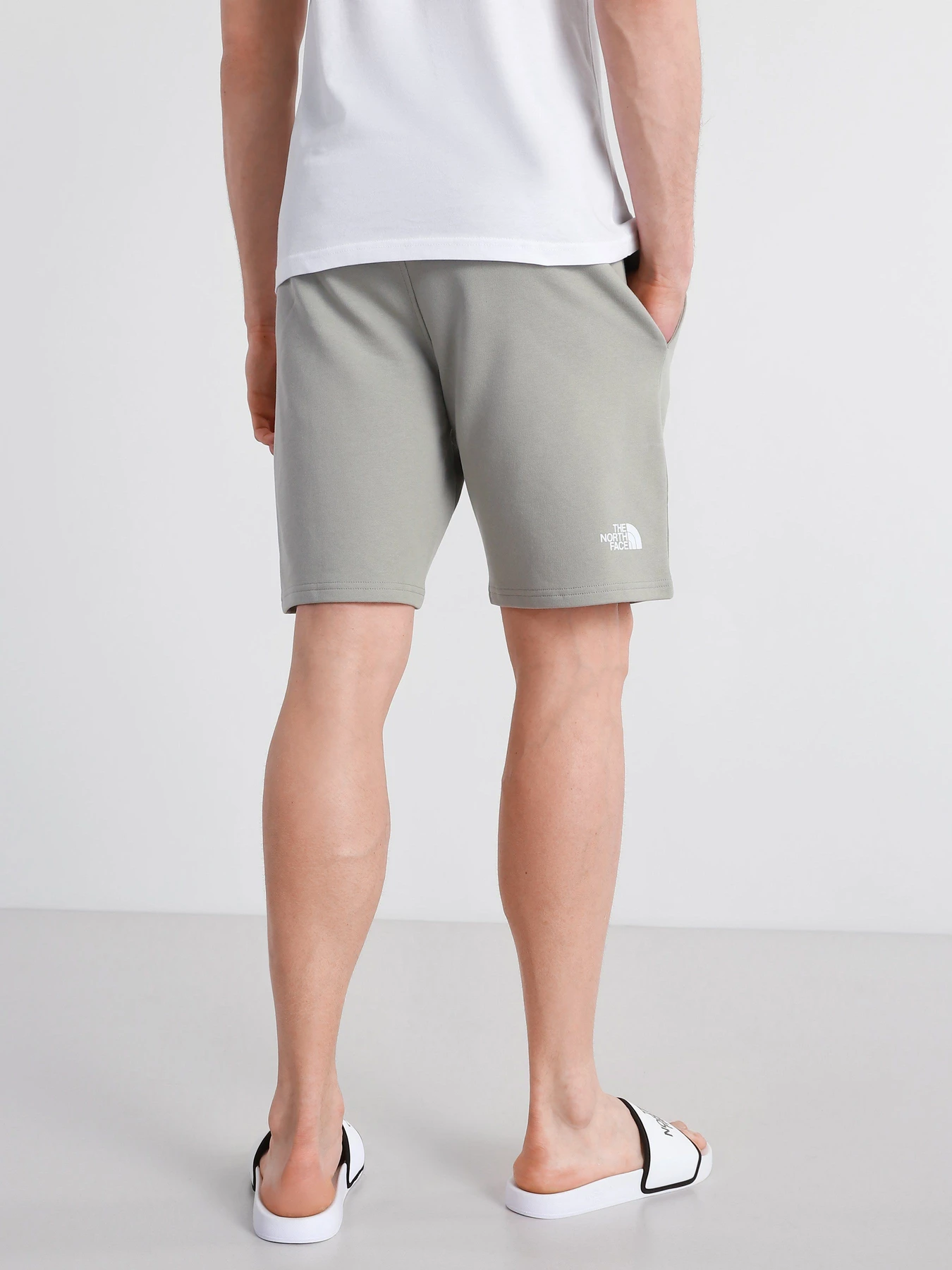 Шорты The North Face Standard модель NF0A3S4EHDF1 Фото