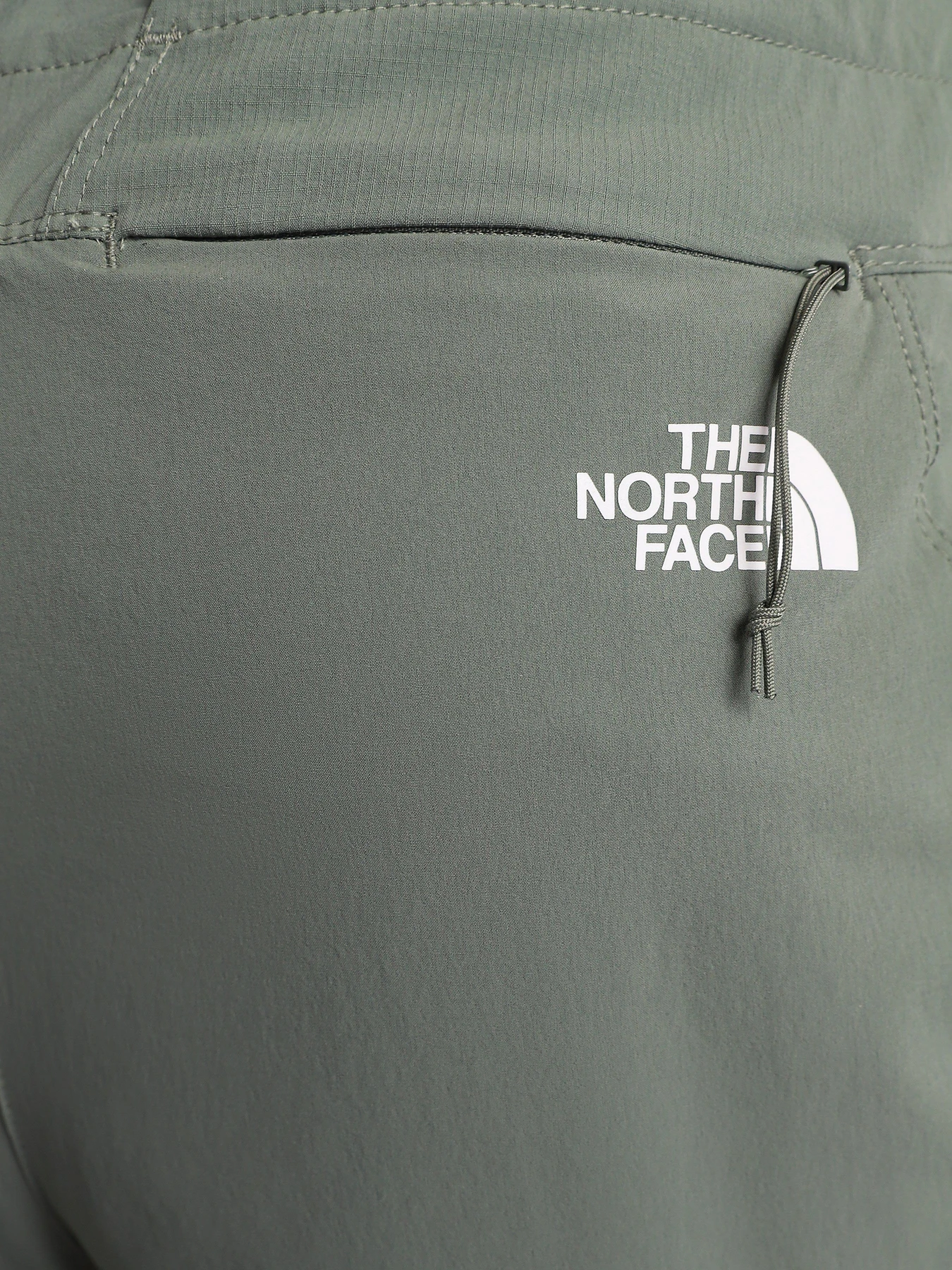 Брюки The North Face Speedlight II модель NF0A3VF7V381 Фото