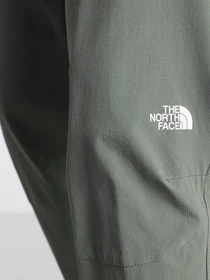 Брюки The North Face Speedlight II модель NF0A3VF7V381 Фото
