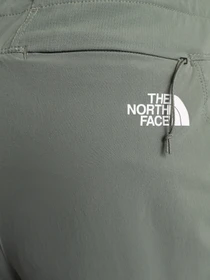 Брюки The North Face Speedlight II модель NF0A3VF7V381 Фото