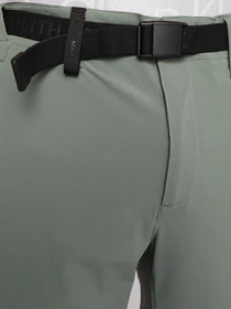 Брюки The North Face Speedlight II модель NF0A3VF7V381 Фото