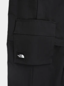 Штани The North Face модель NF0A5IENJK31 Фото