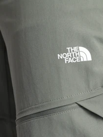 Брюки The North Face Lightning модель NF0A556PV381 Фото