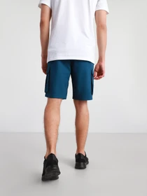 Шорты The North Face Anticline модель NF0A55B6BH71 Фото