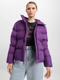 Куртки та дублянки The North Face City Standard модель NF0A5GE4JC01 Фото