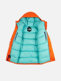 Куртки и дубленки The North Face Trans-Antarctica Expedition модель NF0A5GF2A6M1 Фото