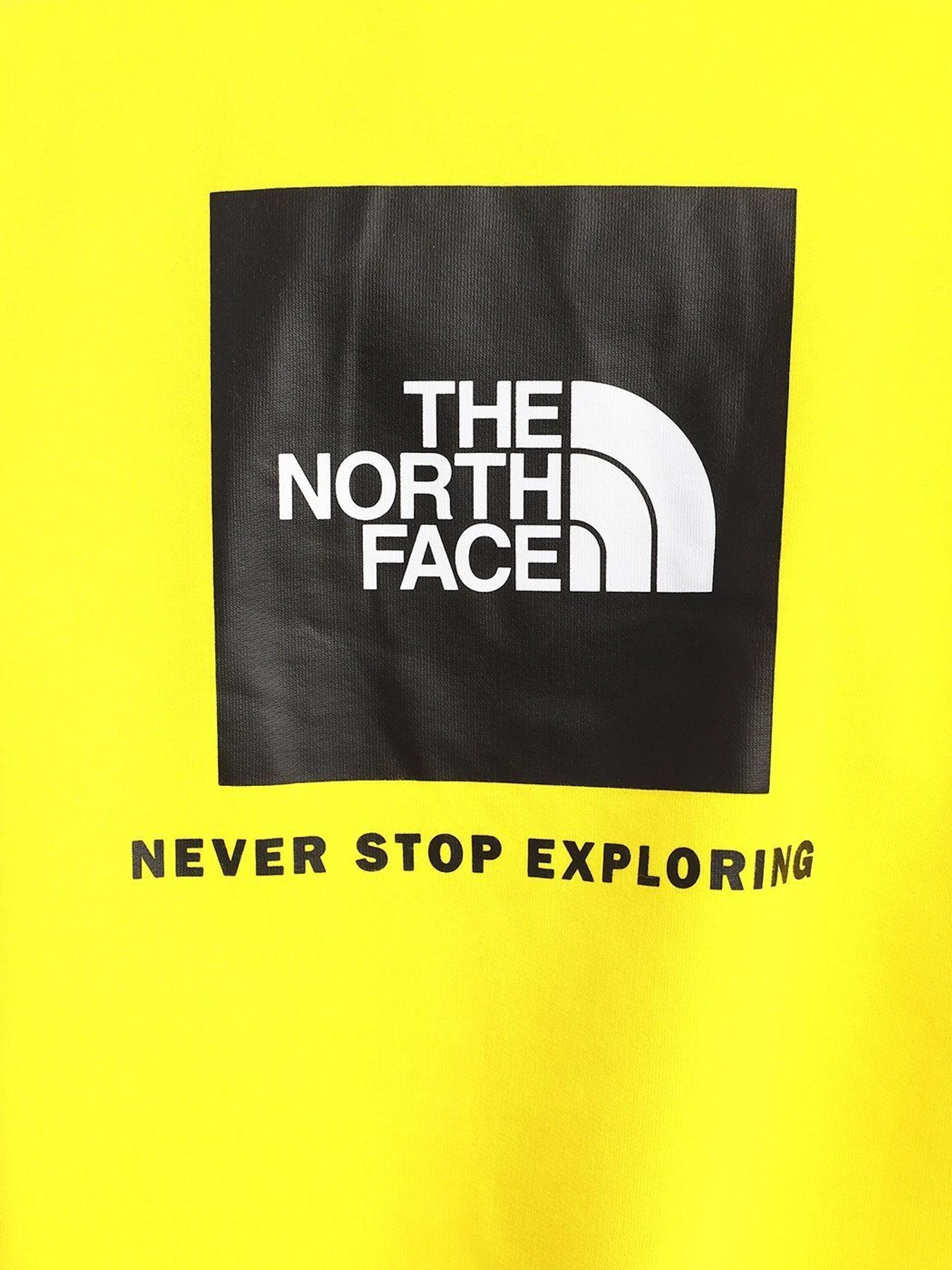 Худи и свитшоты The North Face Search & Rescue модель NF0A5ICJRR81 Худи и свитшоты The North Face Search & Rescue модель NF0A5ICJRR81 Фото