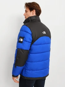 Куртки и дубленки The North Face Black Box Insulated Jacket модель NF0A5IC5CZ61 Фото