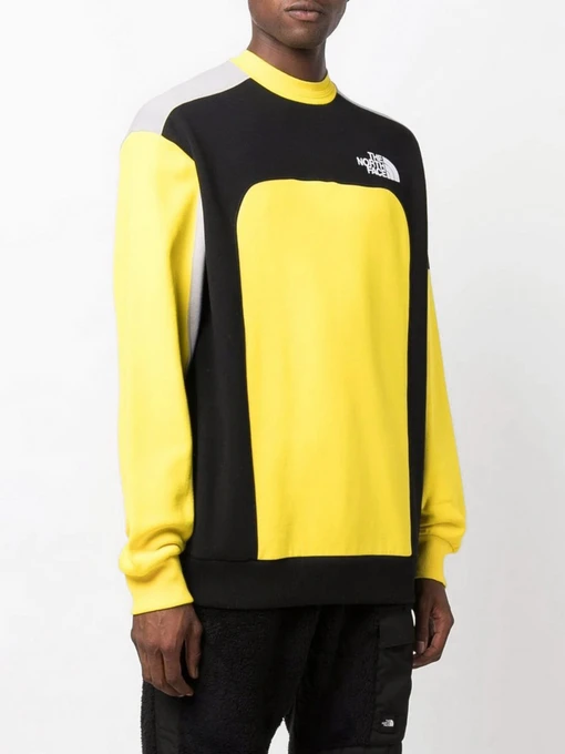Худі та світшоти The North Face Archive Cut & Sew модель NF0A55IARR81 Фото