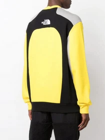 Худі та світшоти The North Face Archive Cut & Sew модель NF0A55IARR81 Фото