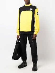 Худі та світшоти The North Face Archive Cut & Sew модель NF0A55IARR81 Фото