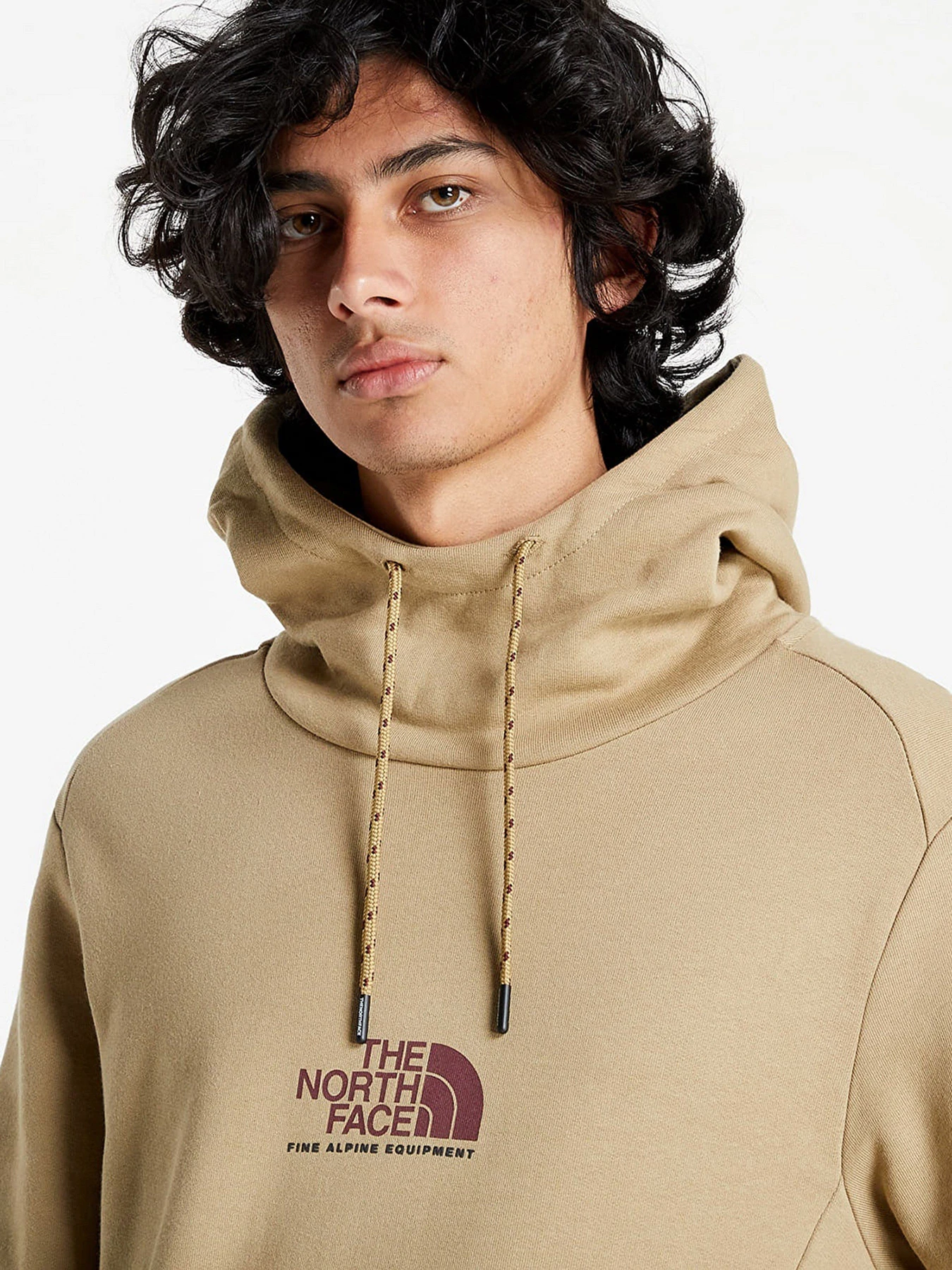Худі та світшоти The North Face Fine Alpine Popover модель NF0A3XY3PLX1 Худі та світшоти The North Face Fine Alpine Popover модель NF0A3XY3PLX1 Фото
