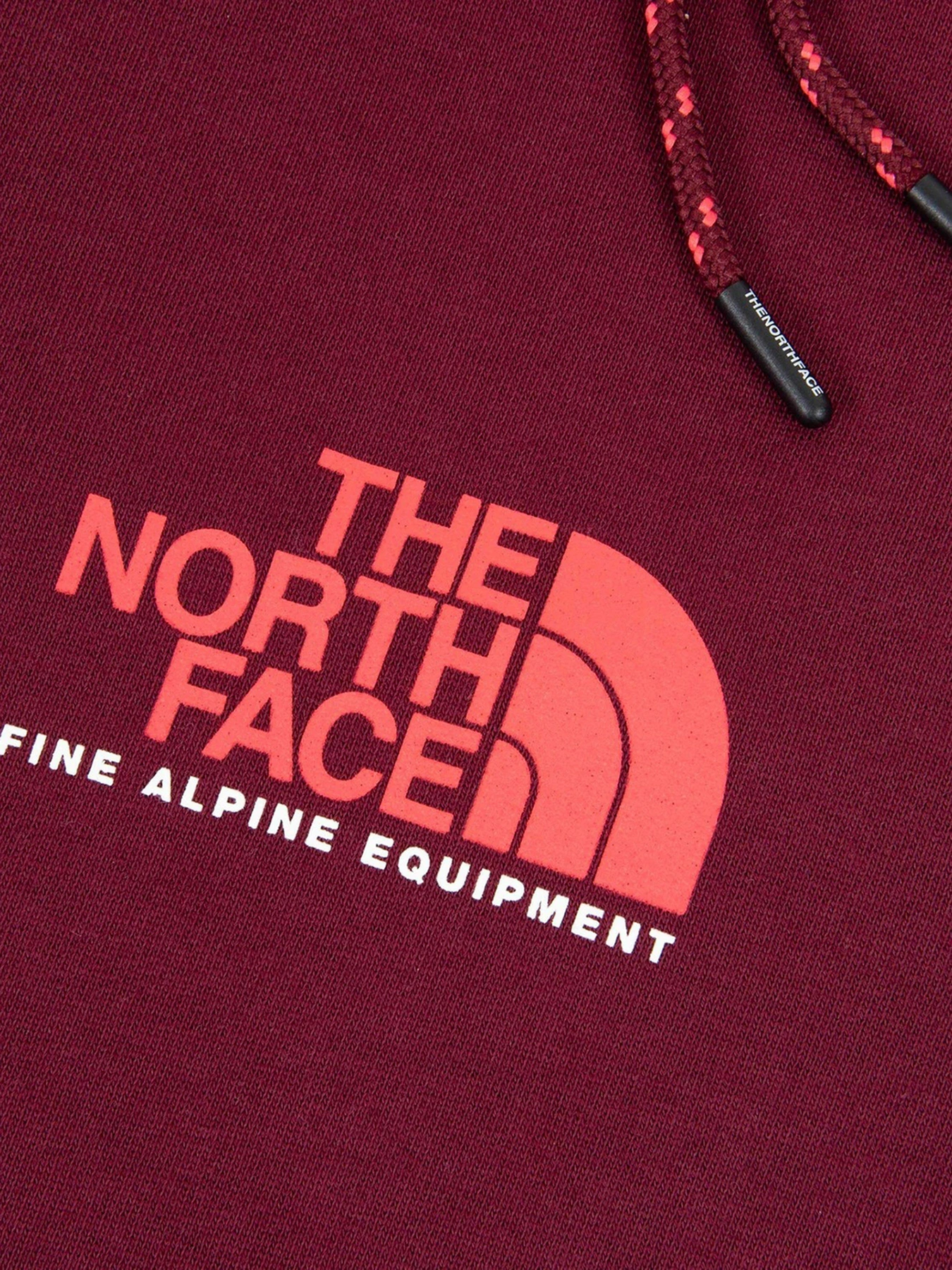 Худі та світшоти The North Face модель NF0A3XY3D4S1 Фото