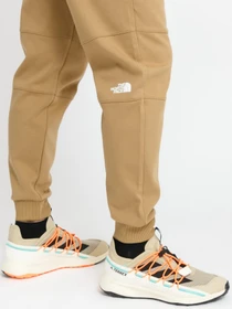 Брюки The North Face Fine II модель NF0A3BPOPLX1 Фото