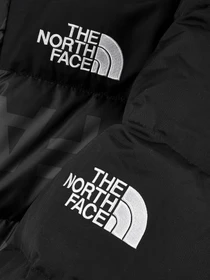 Куртки та дублянки The North Face Conrads Flag модель NF0A5J27JK31 Фото