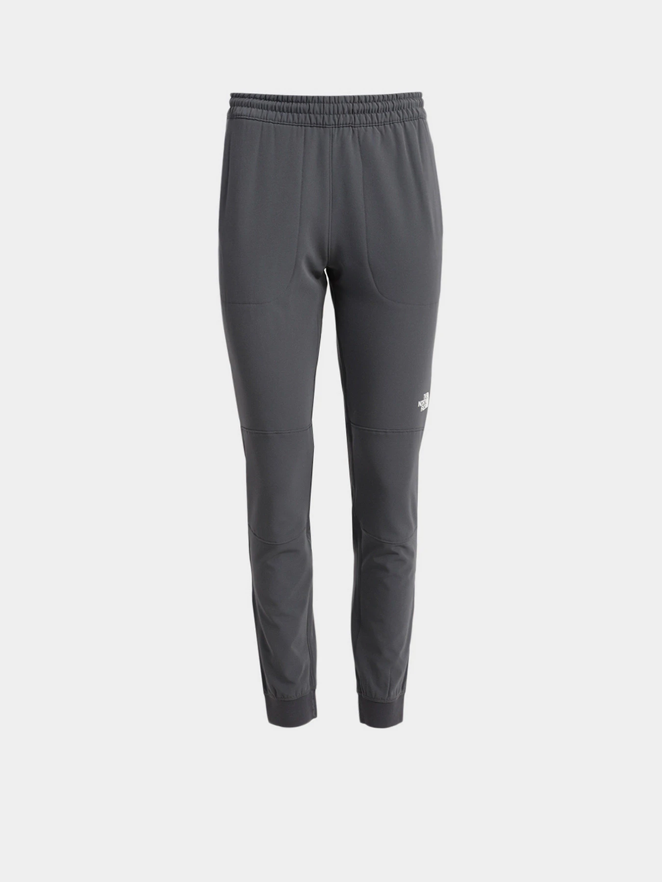 Брюки The North Face Tekware Fleece модель NF0A5GGM1741 Брюки The North Face Tekware Fleece модель NF0A5GGM1741 Фото