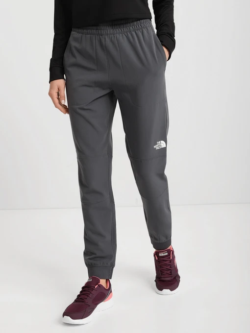 Брюки The North Face Tekware Fleece модель NF0A5GGM1741 Фото
