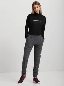 Брюки The North Face Tekware Fleece модель NF0A5GGM1741 Фото