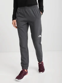 Брюки The North Face Tekware Fleece модель NF0A5GGM1741 Фото