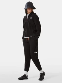 Брюки The North Face Tekware Fleece модель NF0A5GGMJK31 Фото