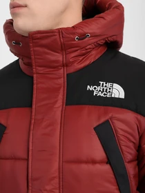 Куртки и дубленки The North Face Himalayan Insulated модель NF0A4QZ5CZD1 Фото
