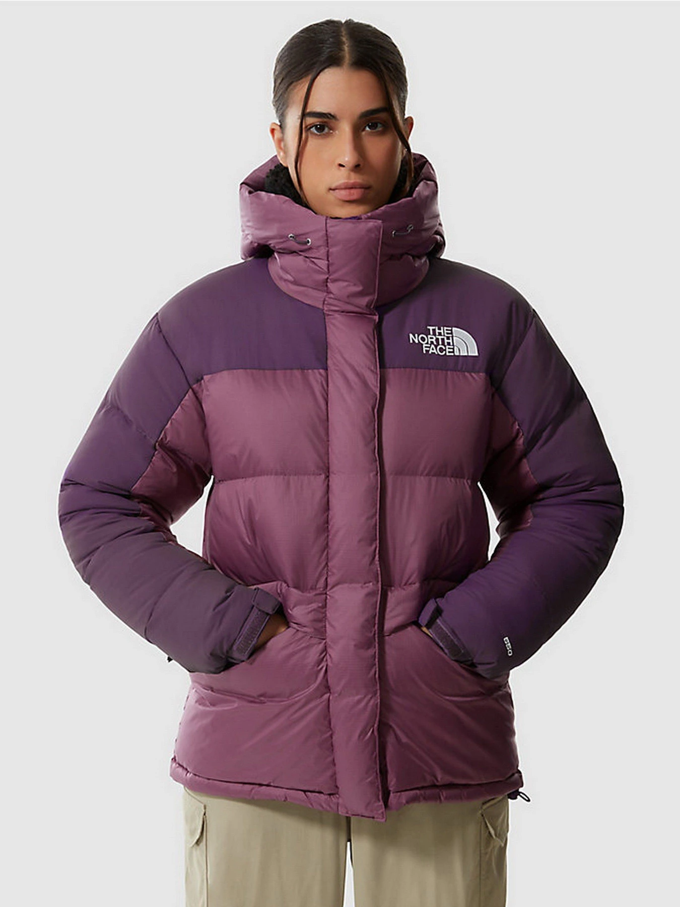 Куртки та дублянки The North Face HMLYN Down Parka модель NF0A4R2W18S1 Куртки та дублянки The North Face HMLYN Down Parka модель NF0A4R2W18S1 Фото