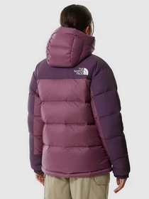 Куртки та дублянки The North Face HMLYN Down Parka модель NF0A4R2W18S1 Фото