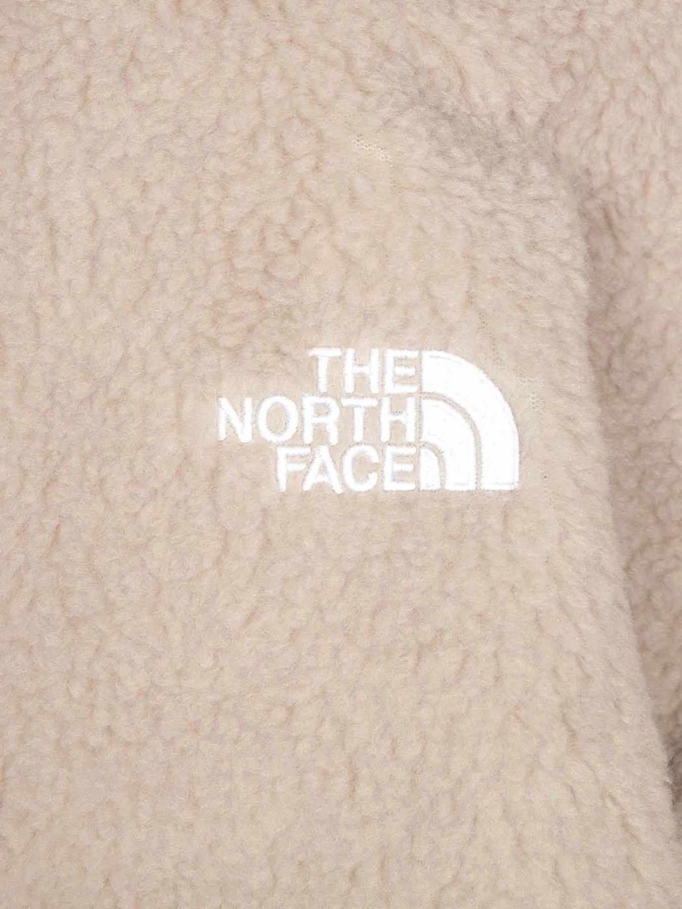 Худи и свитшоты The North Face Platte Sherpa модель NF0A5GGICEL1 Худи и свитшоты The North Face Platte Sherpa модель NF0A5GGICEL1 Фото
