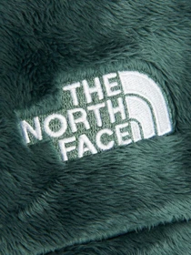 Худі та світшоти The North Face Osito модель NF0A5GINHBS1 Фото