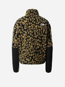 Худи и свитшоты The North Face Kataka модель NF0A5IXZ28A1 Фото