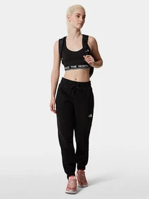 Брюки The North Face Standard модель NF0A5ID4JK31 Фото