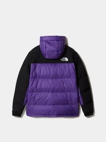 Куртки та дублянки The North Face HMLYN модель NF0A4QYXJC01 Фото