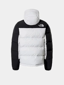 Куртки и дубленки The North Face HMLYN модель NF0A4QYXFN41 Фото