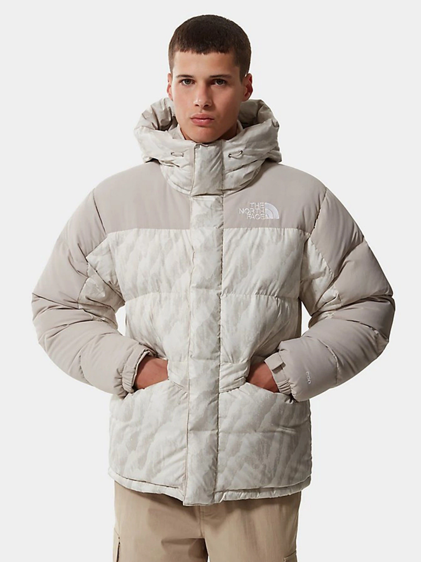 Куртки и дубленки The North Face Printed Himalayan Down модель NF0A5J1J2L01 Куртки и дубленки The North Face Printed Himalayan Down модель NF0A5J1J2L01 Фото