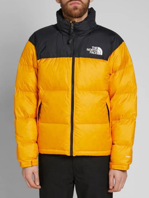 Куртки и дубленки The North Face Retro Nuptse 1996 модель NF0A3C8DH9D1 Фото