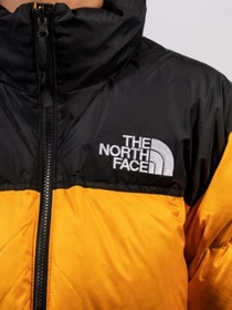Куртки и дубленки The North Face Retro Nuptse 1996 модель NF0A3C8DH9D1 Фото