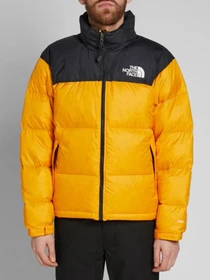 Куртки и дубленки The North Face Retro Nuptse 1996 модель NF0A3C8DH9D1 Фото