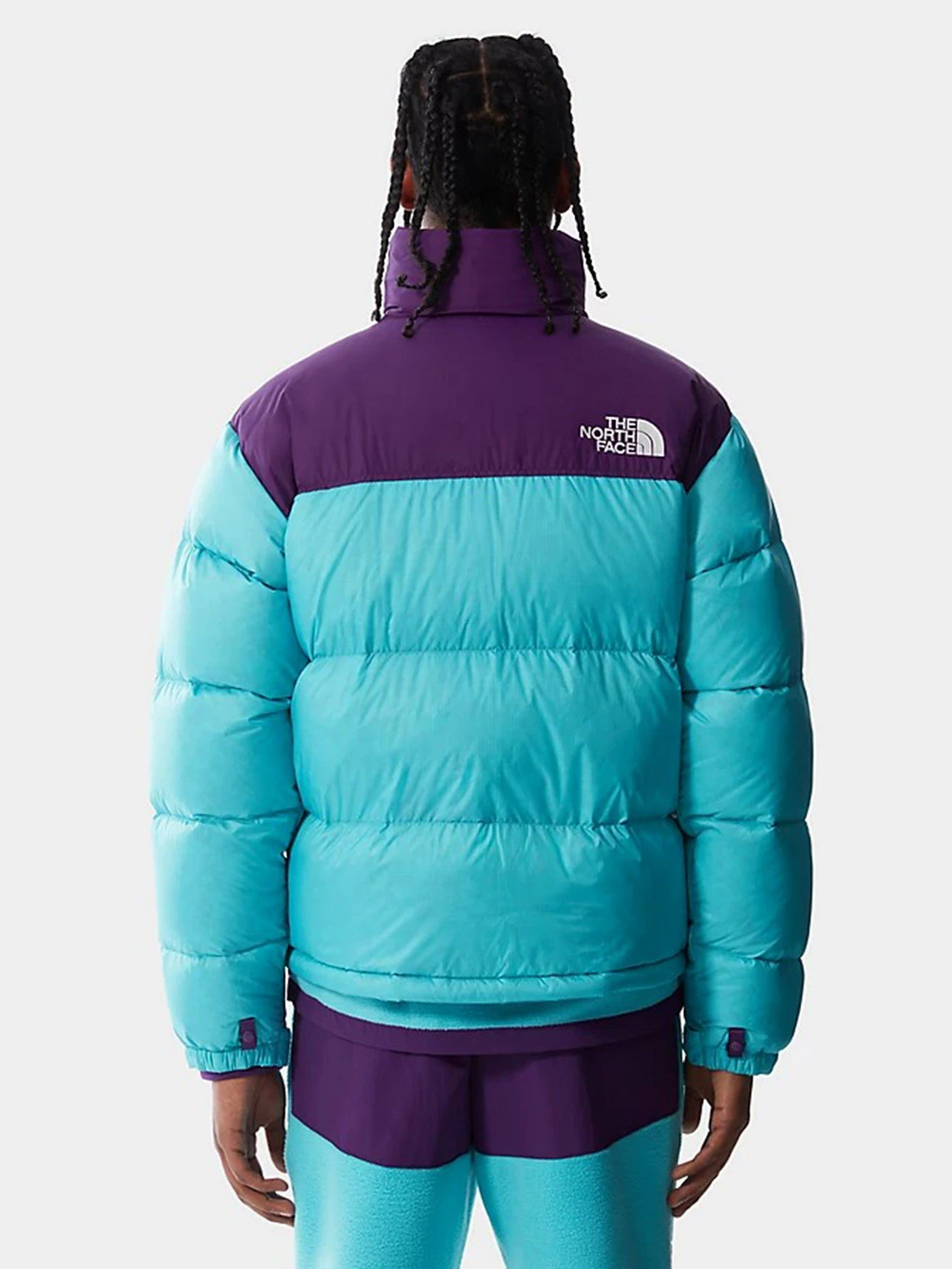 Куртки и дубленки The North Face Retro Nuptse 1996 модель NF0A3C8D25D1 Фото