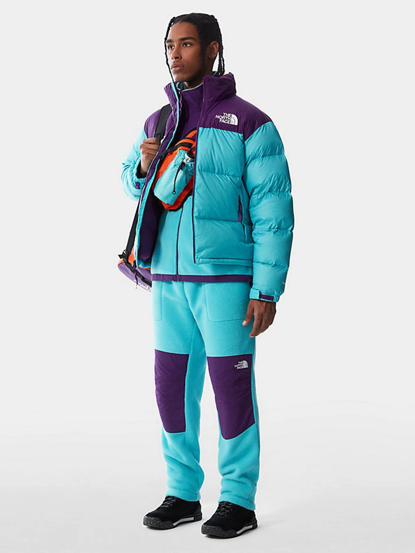Куртки и дубленки The North Face Retro Nuptse 1996 модель NF0A3C8D25D1 Фото