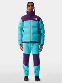Куртки и дубленки The North Face Retro Nuptse 1996 модель NF0A3C8D25D1 Фото