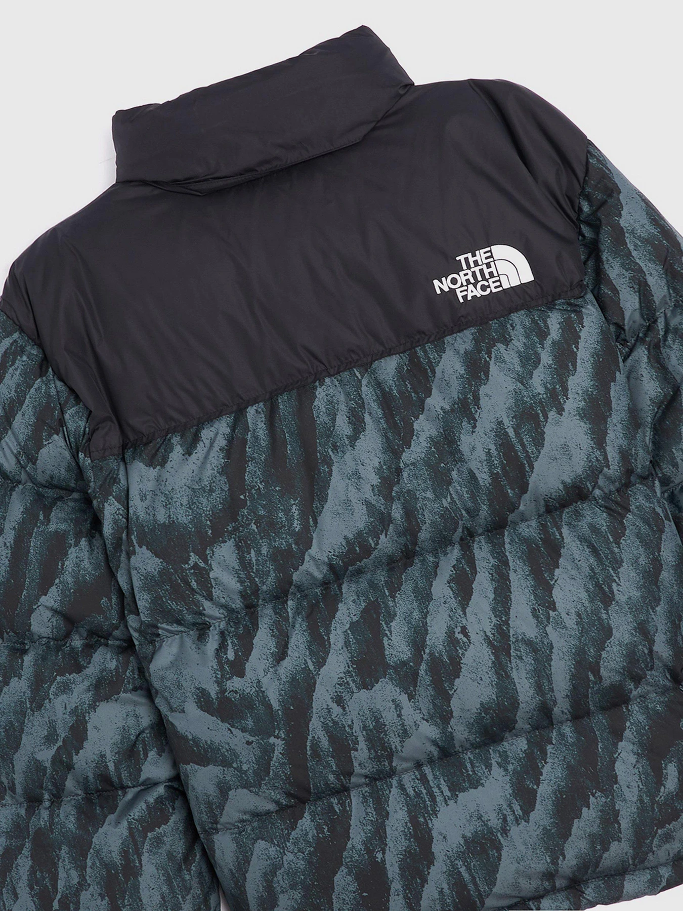 Куртки та дублянки The North Face Retro Nuptse 1996 модель NF0A5IX429L1 Фото