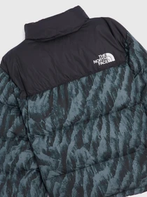 Куртки та дублянки The North Face Retro Nuptse 1996 модель NF0A5IX429L1 Фото