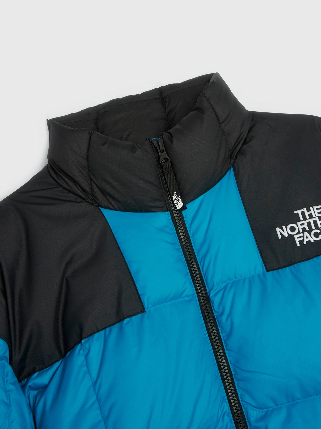 Куртки и дубленки The North Face Lhotse модель NF0A3Y23H0H1 Фото