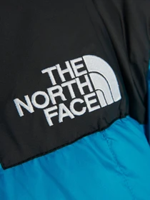 Куртки и дубленки The North Face Lhotse модель NF0A3Y23H0H1 Фото