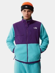Худи и свитшоты The North Face Denali 2 модель NF0A4QYJ25D1 Фото