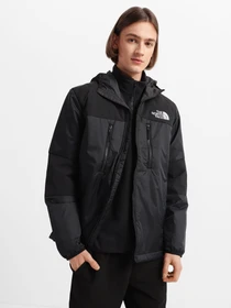Куртки и дубленки The North Face Himalayan Light Synth Hoodie модель NF0A3L2GJK31 Фото